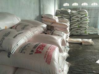 Kejari Kampar Terus Telusuri Dugaan Mafia Pupuk Subsidi, Kades Petapahan SAU Apresiasi